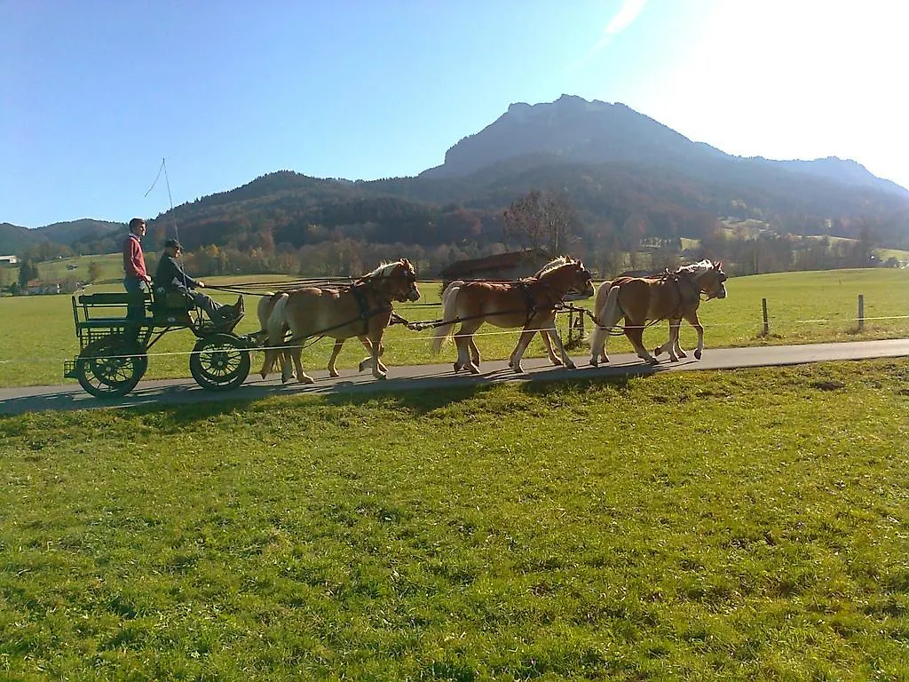 Sonnenkaiser Fischbachau Hotel